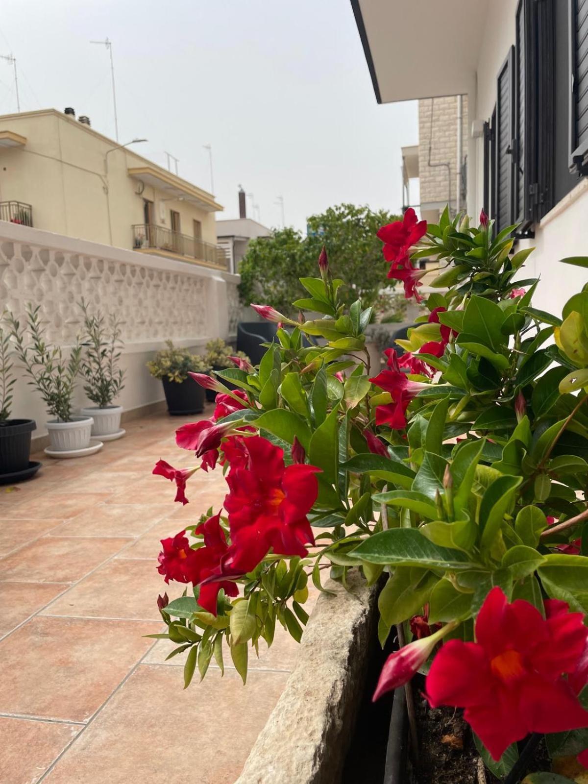 Rosa Dei Venti Villa Polignano a Mare Luaran gambar